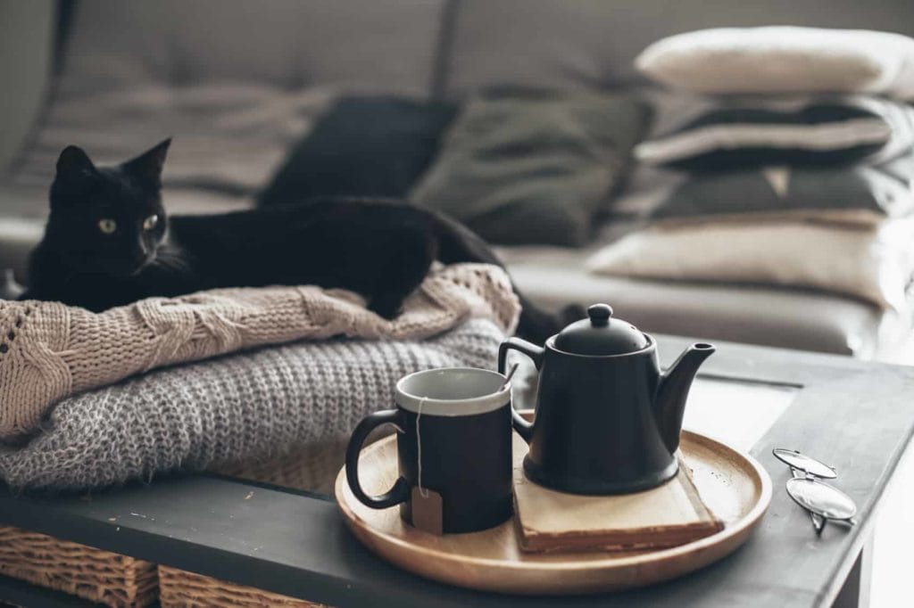 Autumn mornings