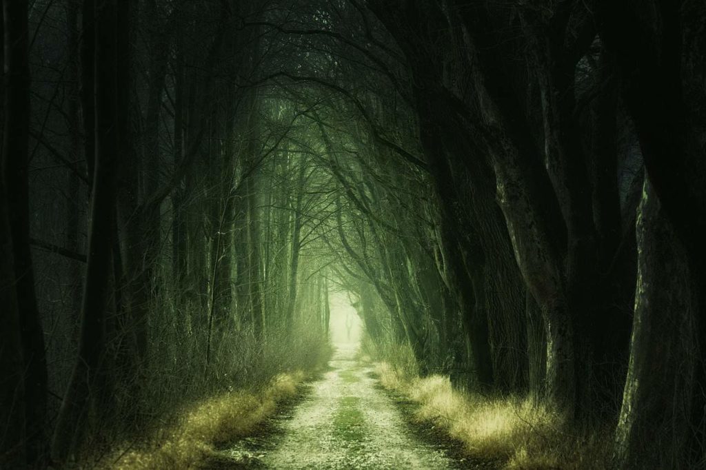 understanding nightmares