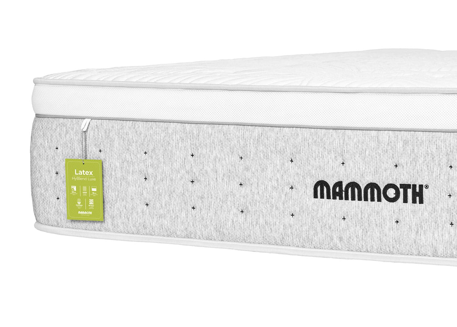 Mammoth-Latex-HyBlend-Luxe-Matt-Detail-1